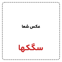 سگکها 