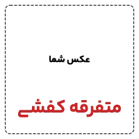 متفرقه کفشی 