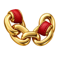 زنجیر ها